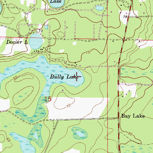 Topographic Map of Bully Lake, FL