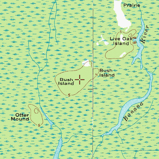 Topographic Map of Bush Island, FL
