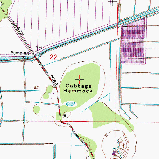 Topographic Map of Cabbage Hammock, FL