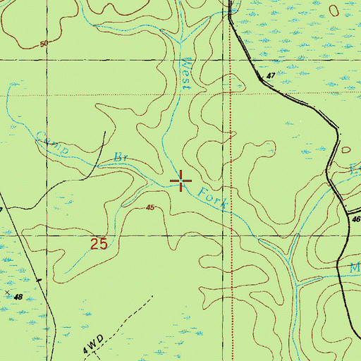 Topographic Map of Camp Branch, FL