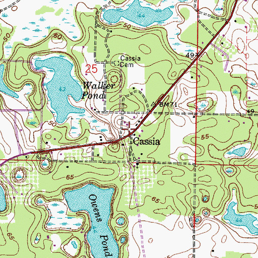 Topographic Map of Cassia, FL