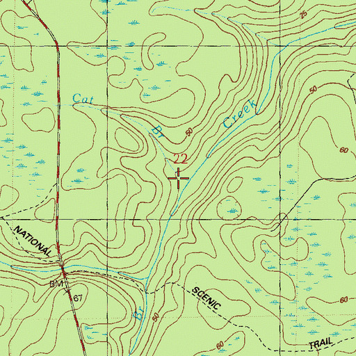 Topographic Map of Cat Branch, FL