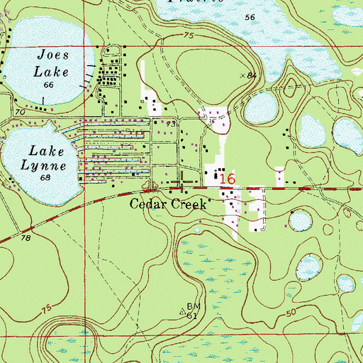 Topographic Map of Cedar Creek, FL