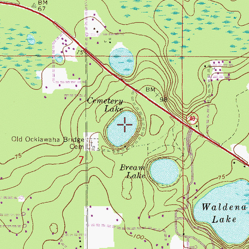 Topographic Map of Cemetery Lake, FL