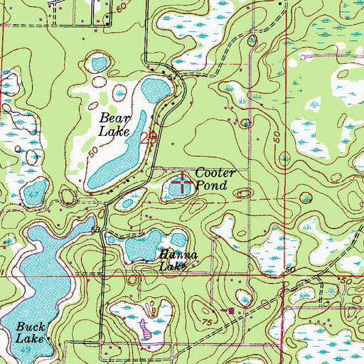Topographic Map of Cooter Pond, FL
