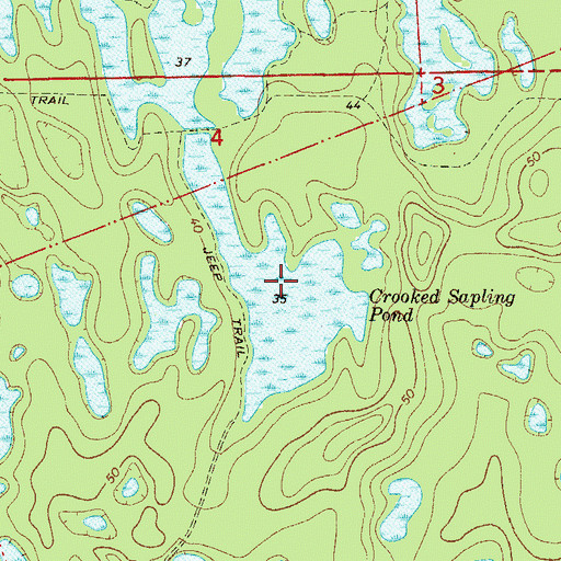 Topographic Map of Crooked Sapling Pond, FL