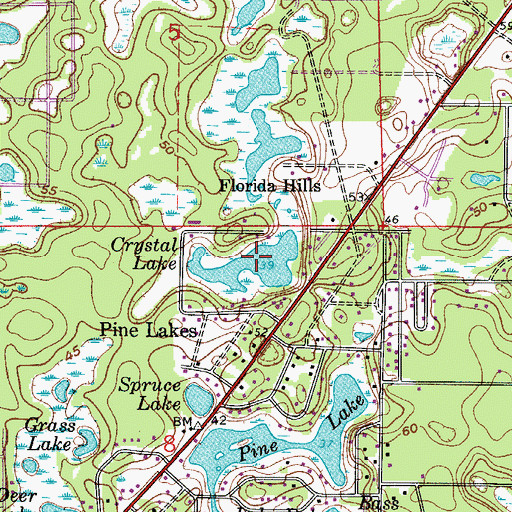 Topographic Map of Crystal Lake, FL