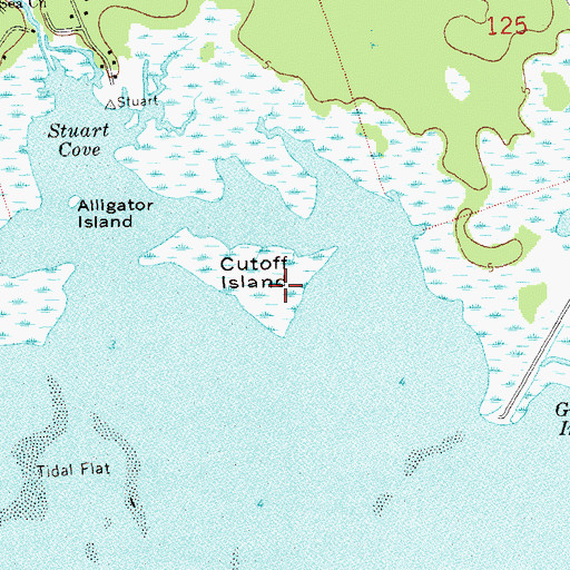 Topographic Map of Cutoff Island, FL