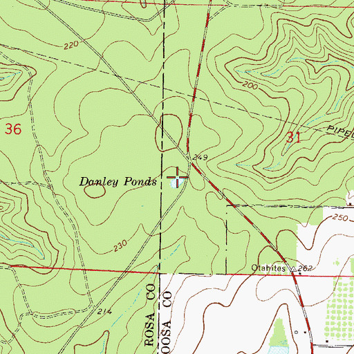Topographic Map of Danley Pond, FL