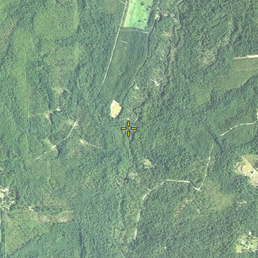 Aerial/Satellite Image of Deep Branch, FL
