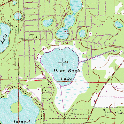 Topographic Map of Deer Back Lake, FL