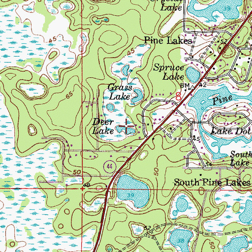 Topographic Map of Deer Lake, FL