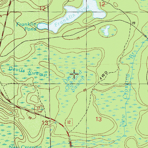 Topographic Map of Devils Old Field Swamp, FL