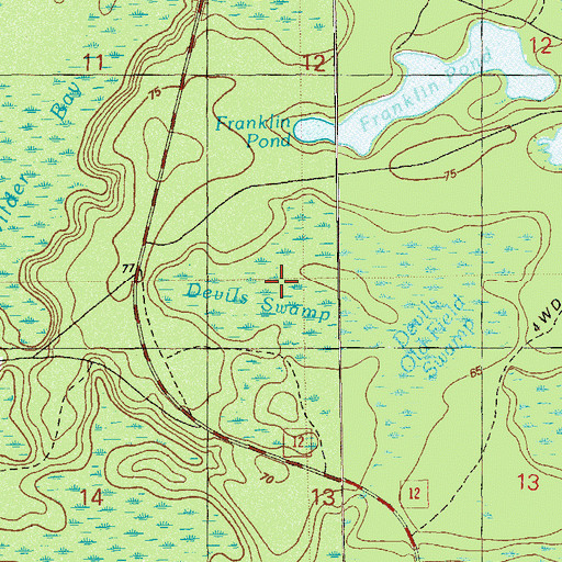 Topographic Map of Devils Swamp, FL