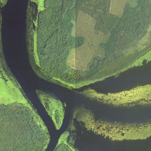 Aerial/Satellite Image of Dexter Point, FL