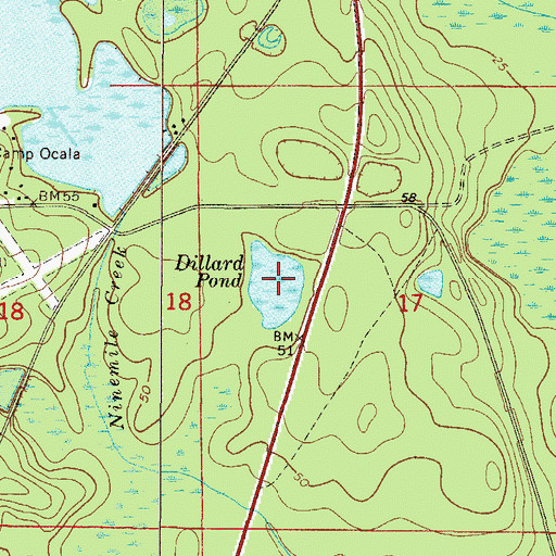 Topographic Map of Dillard Pond, FL