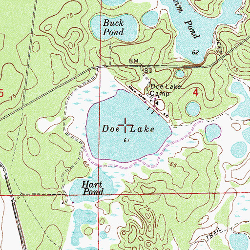 Topographic Map of Doe Lake, FL