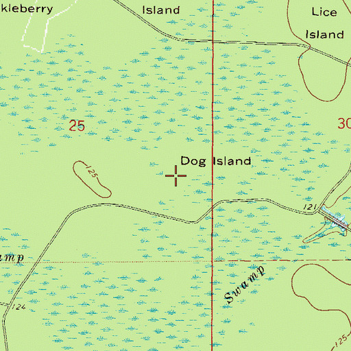 Topographic Map of Dog Island, FL