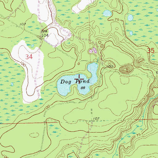 Topographic Map of Dog Pond, FL