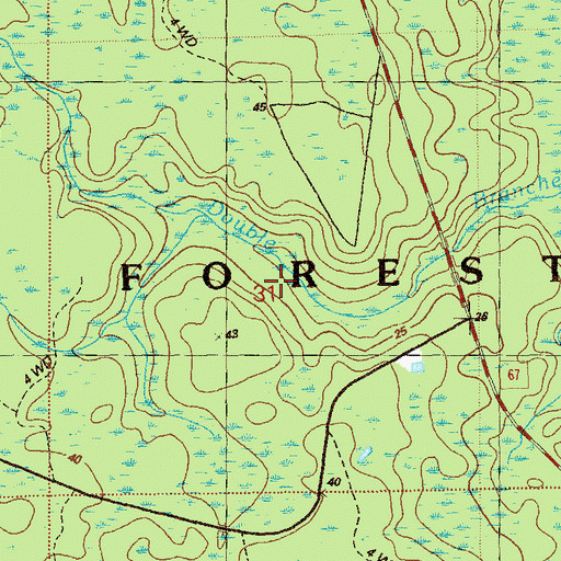 Topographic Map of Double Branches, FL