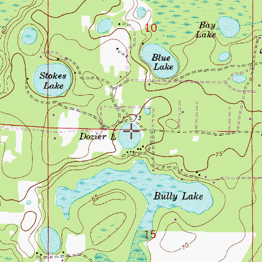 Topographic Map of Dozier Lake, FL