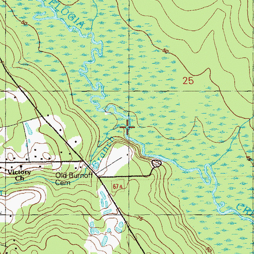 Topographic Map of Driver Branch, FL