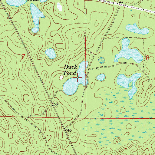 Topographic Map of Duck Pond, FL