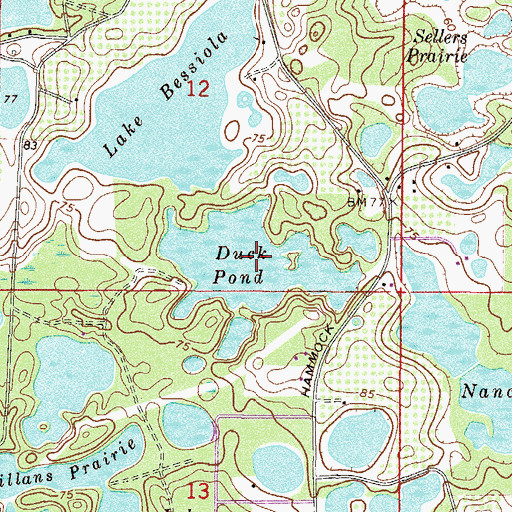 Topographic Map of Duck Pond, FL
