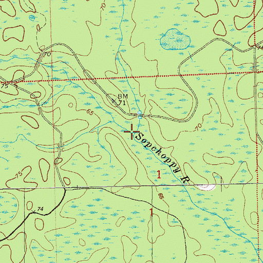 Topographic Map of East Branch Sopchoppy River, FL