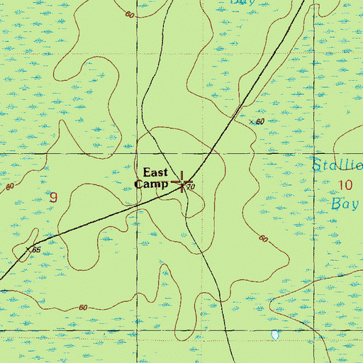 Topographic Map of East Camp, FL