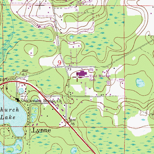 Topographic Map of East Marion School, FL
