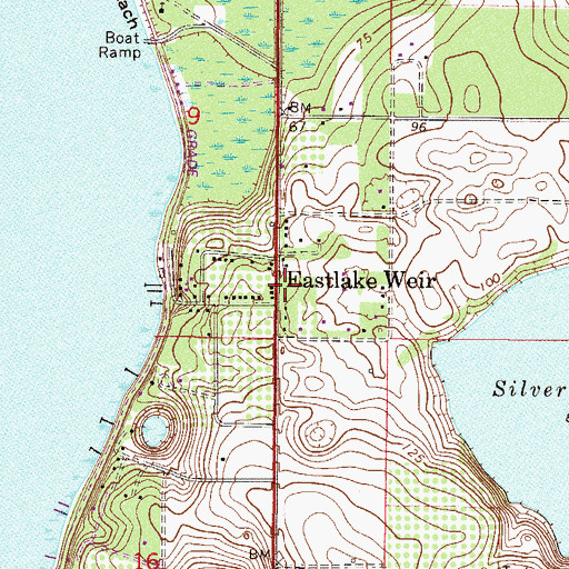 Topographic Map of East Lake Weir, FL
