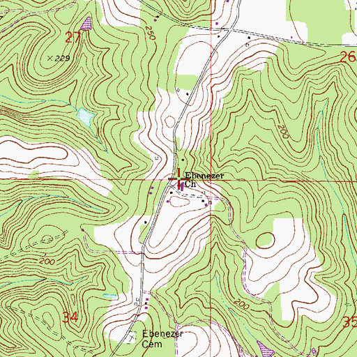 Topographic Map of Ebenezer Church, FL