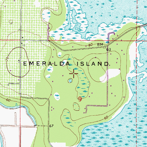 Topographic Map of Emeralda Island, FL