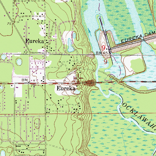 Topographic Map of Eureka, FL