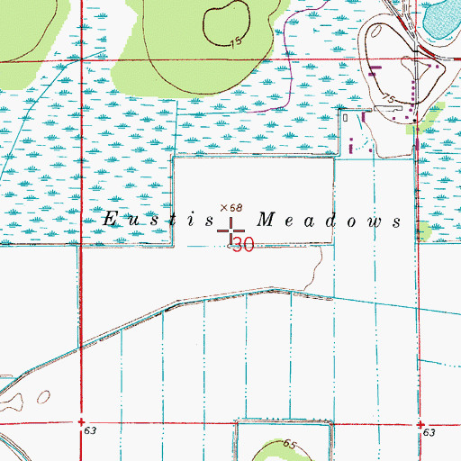 Topographic Map of Eustis Meadows, FL