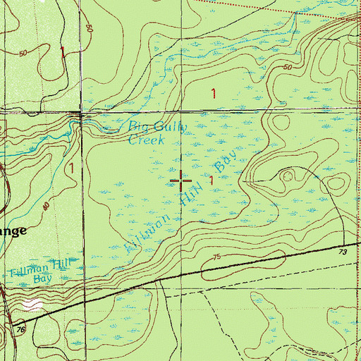 Topographic Map of Fillman Hill Bay, FL