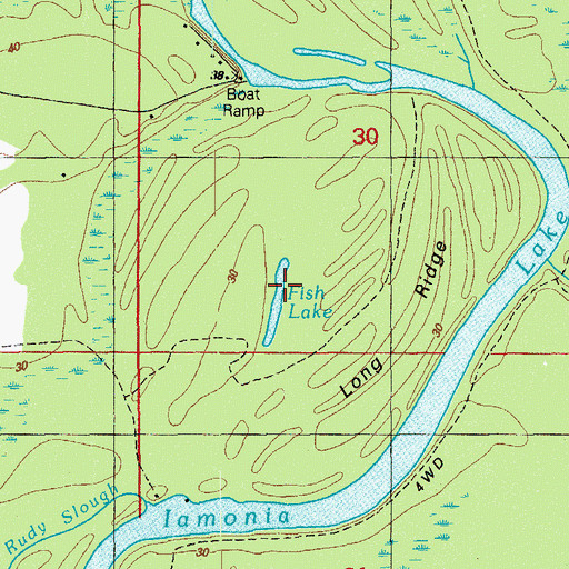 Topographic Map of Fish Lake, FL