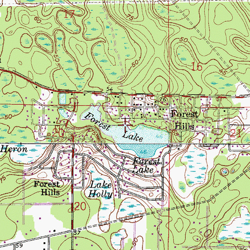 Topographic Map of Forest Lake, FL