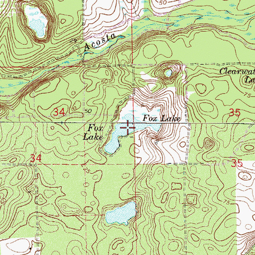 Topographic Map of Fox Lake, FL