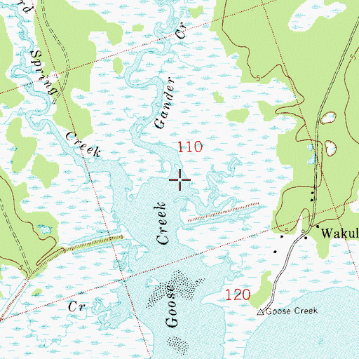 Topographic Map of Gander Creek, FL