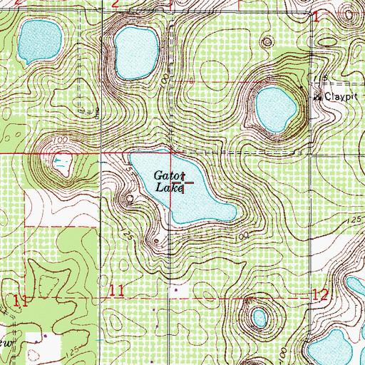 Topographic Map of Gator Lake, FL
