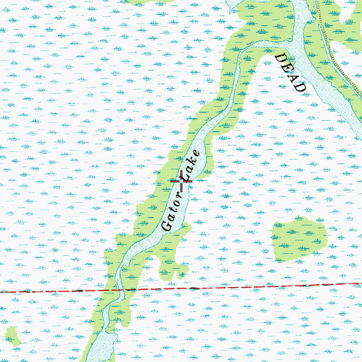 Topographic Map of Gator Lake, FL