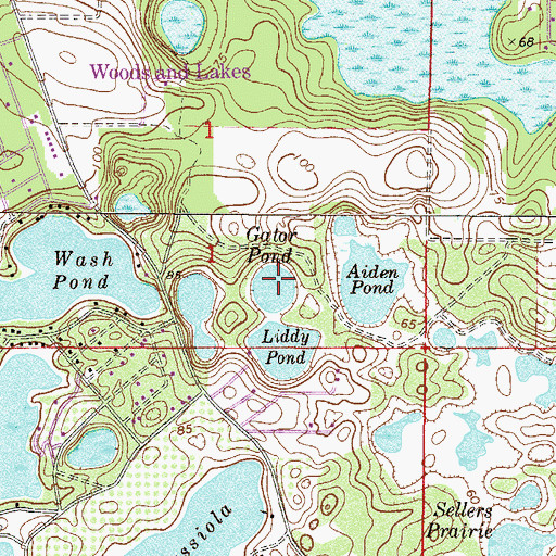 Topographic Map of Gator Pond, FL