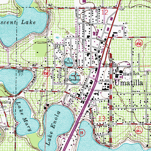 Topographic Map of Lake Geneva, FL