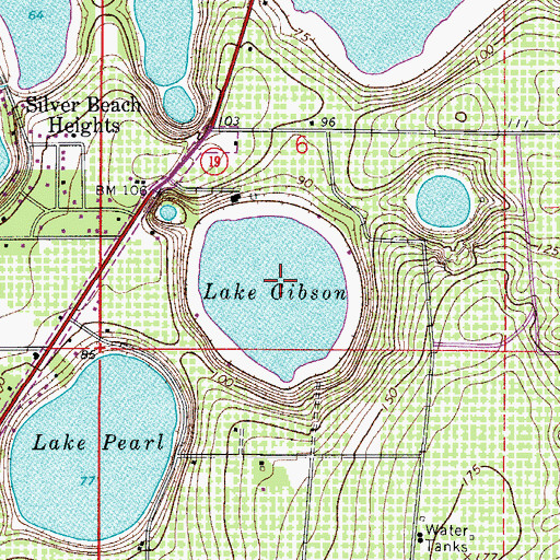 Topographic Map of Lake Gibson, FL