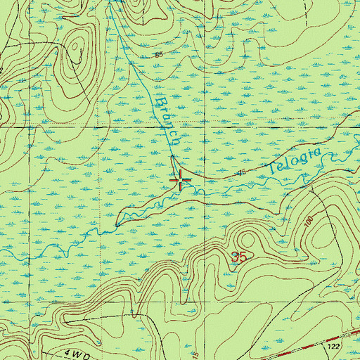 Topographic Map of Goff Branch, FL