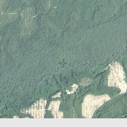 Aerial/Satellite Image of Goff Branch, FL