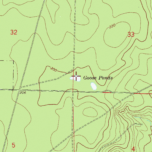 Topographic Map of Goose Pond, FL