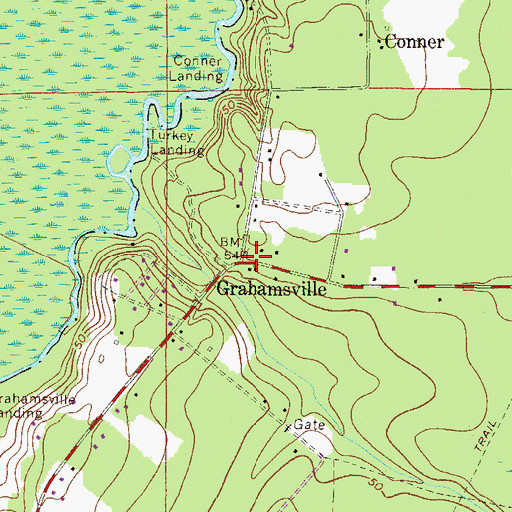 Topographic Map of Grahamsville, FL